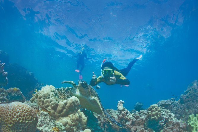 Whitsunday Islands Sail, SUP & Snorkel Tour- Small group - The reef stop near Hayman Island