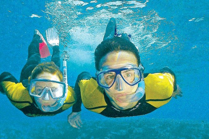 Whitsunday Islands Sail, SUP & Snorkel Tour- Small group - Morning tea and a tropical buffet lunch