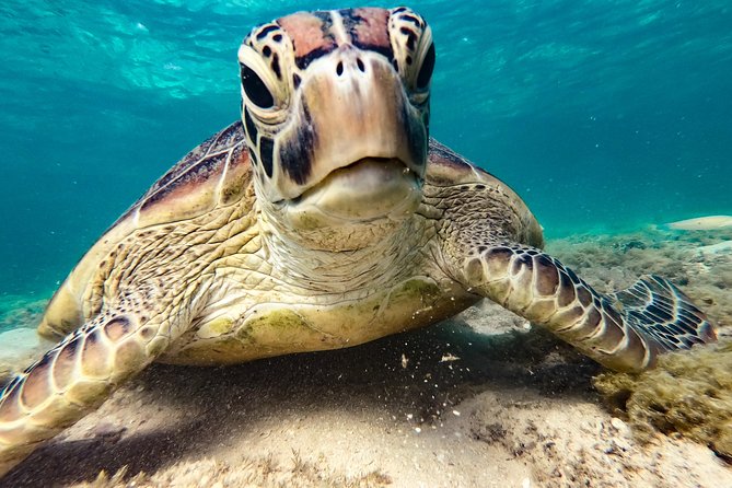 Whitsunday Islands Sail, SUP & Snorkel Tour- Small group - What the small-group claim means in practice