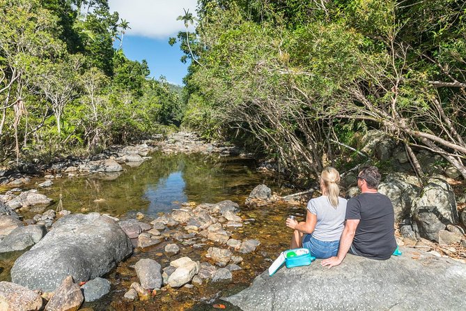 Whitsunday Segway Rainforest Discovery Tour - A creek stop with a generous morning tea