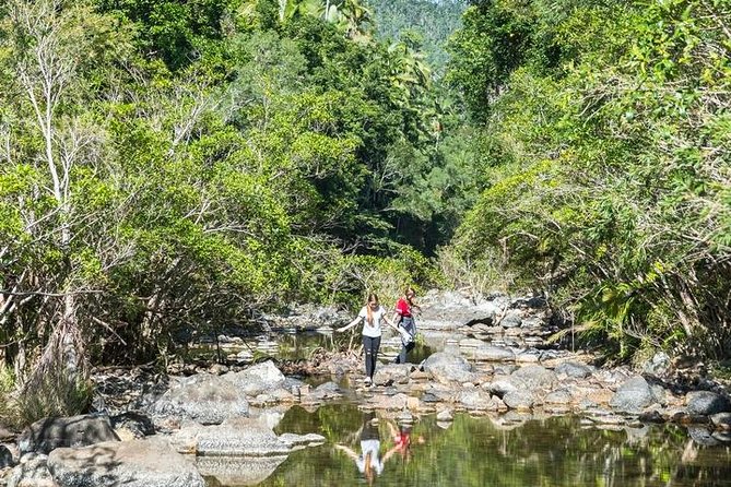 Whitsunday Segway Rainforest Discovery Tour - Photos, wildlife, and the no-phone rule