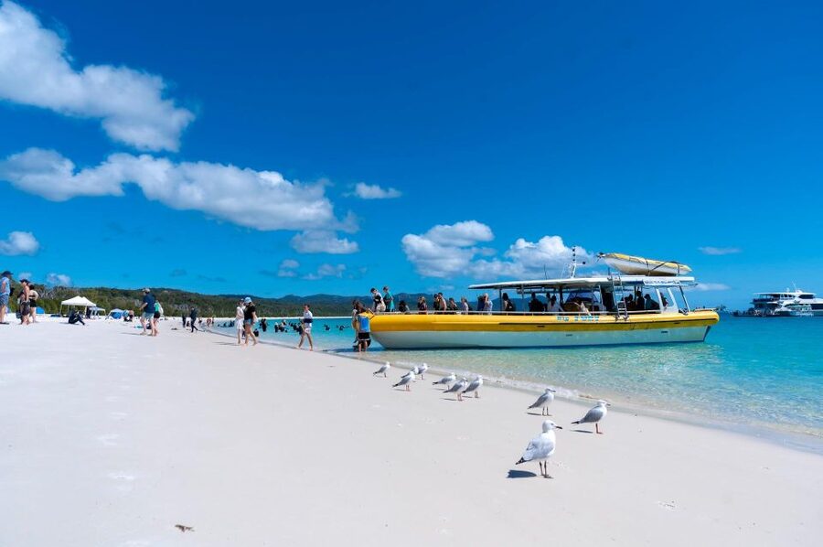 Whitsunday: Whitsunday Islands Tour with Snorkeling & Lunch - Should you book Big Fury?