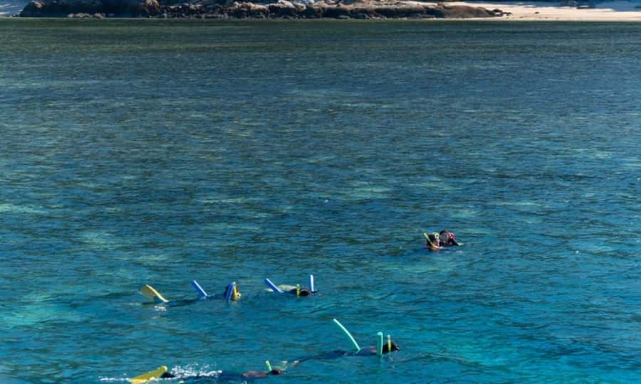 Whitsunday: Whitsunday Islands Tour with Snorkeling & Lunch - Whales from July through September