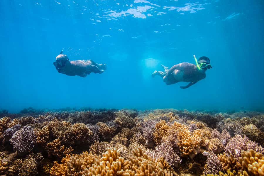 Whitsundays Sailing & Snorkelling Day Tour – All Inclusive - Why the crew matters on this type of trip