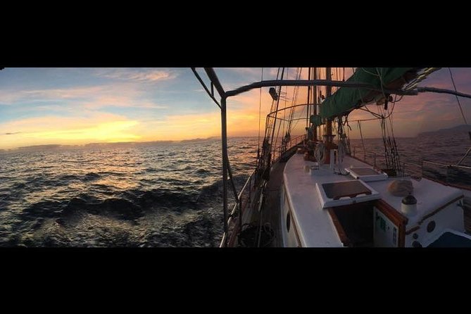 Whitsundays Sunset Sailing Cruise - The crew and the style of service