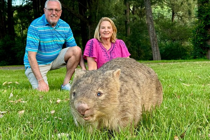 WILD Wombat and Kangaroo Day Tour, All Inclusive - Quick points before you book
