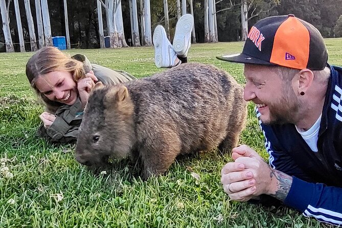 WILD Wombat and Kangaroo Day Tour, All Inclusive - Why the wombat walk is the main event