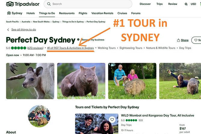 WILD Wombat and Kangaroo Day Tour, All Inclusive - Macquarie Pass brings forest and winding roads