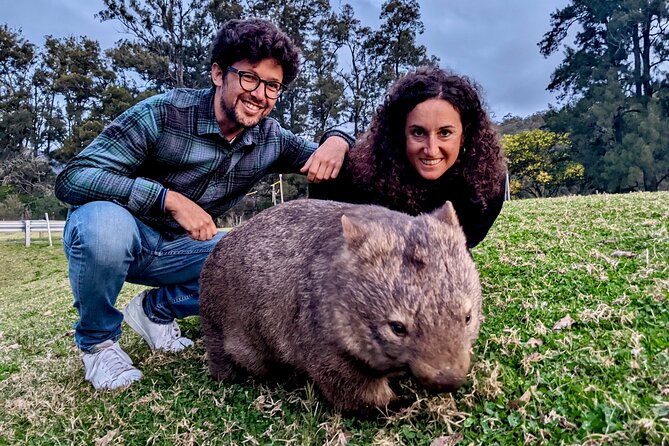 WILD Wombat and Kangaroo Day Tour, All Inclusive - Carrington Falls adds a quiet forest walk