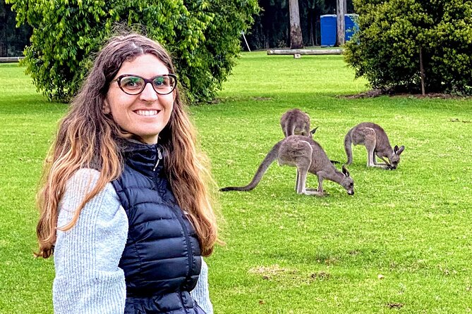 WILD Wombat and Kangaroo Day Tour, All Inclusive - Fitzroy Falls brings a second waterfall view