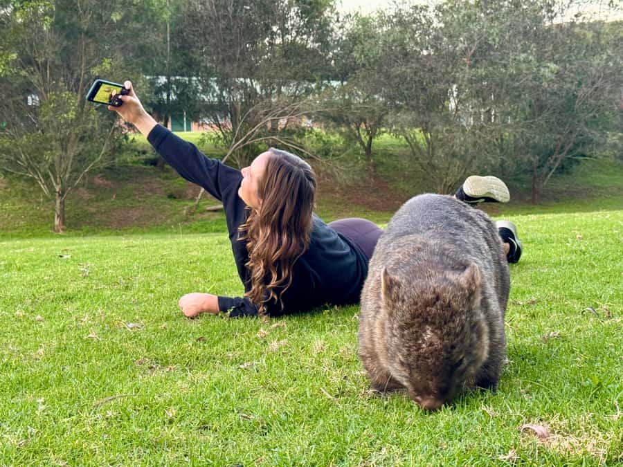 WILD Wombats and Kangaroo Experience, All Inclusive, Sydney - Key points to know before booking