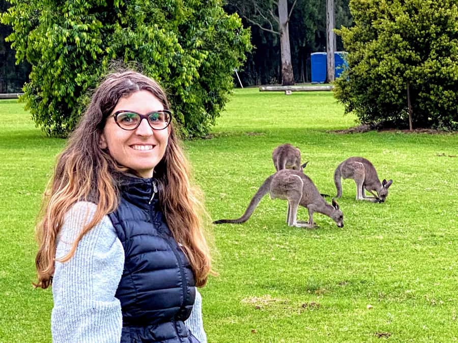 WILD Wombats and Kangaroo Experience, All Inclusive, Sydney - Why this Sydney wildlife trip feels different