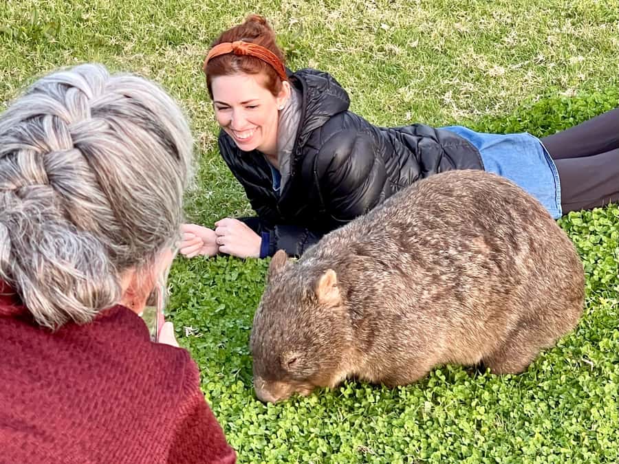 WILD Wombats and Kangaroo Experience, All Inclusive, Sydney - Dinner at the historic country pub