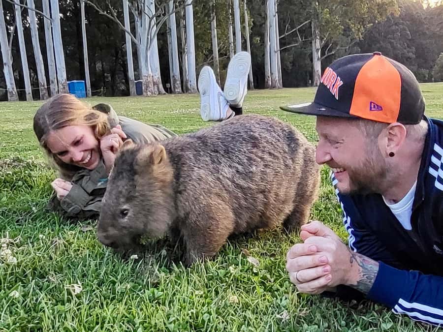 WILD Wombats and Kangaroo Experience, All Inclusive, Sydney - Pickup in central Sydney and the long ride south