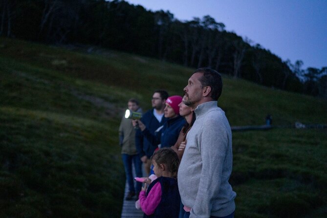 Wildlife Night Spotting at Cradle Mountain - Why Cradle Mountain is best after sunset