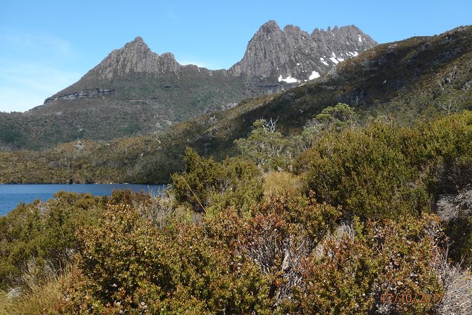 Wildlife Night Spotting at Cradle Mountain - What you might see, and what remains uncertain