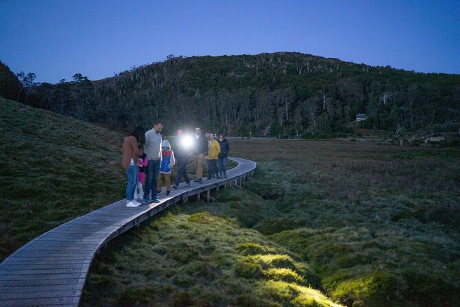 Wildlife Night Spotting at Cradle Mountain - The ride from your accommodation to the park