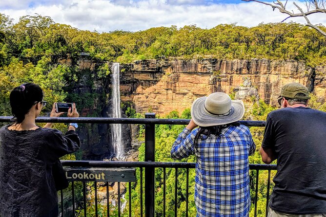Wildlife, Waterfalls and Wine Day Tour from Sydney - Meeting koalas at Symbio Wildlife Park