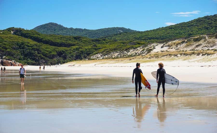 Wilson's Promontory National Park Day Tour From Melbourne - Why Wilsons Promontory works as a long day from Melbourne