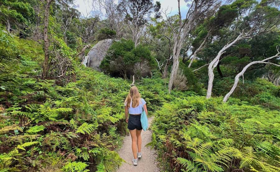 Wilson's Promontory National Park Day Tour From Melbourne - The wildlife walk at the historic airfield