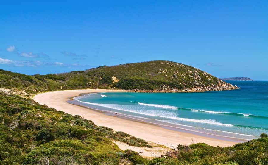 Wilson's Promontory National Park Day Tour From Melbourne - The long bus day and what to pack