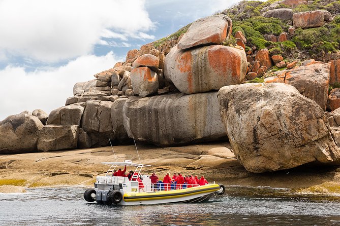 Wilsons Promontory Wilderness Cruise from Tidal River - Key points to know before you book
