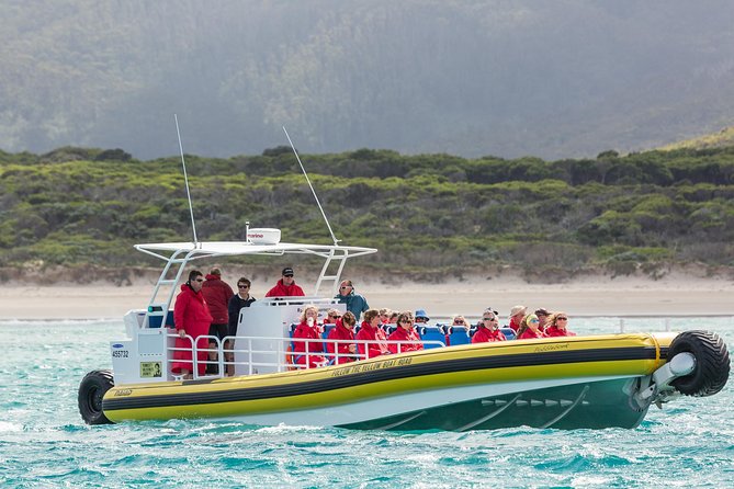 Wilsons Promontory Wilderness Cruise from Tidal River - South Point and the southern coast