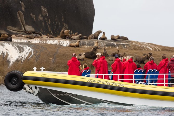 Wilsons Promontory Wilderness Cruise from Tidal River - Fur seals, dolphins, whales, and seabirds