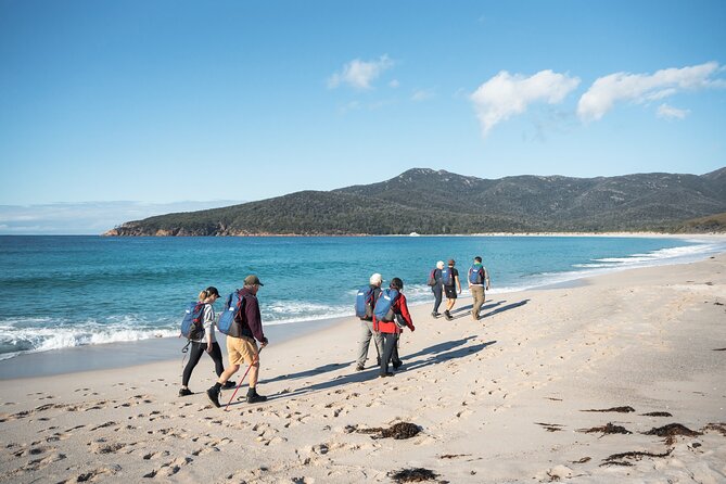 Wineglass Bay Cruise from Coles Bay - Practical Details That Matter