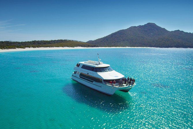 Wineglass Bay Cruise from Coles Bay - Wildlife Watching on a Moving Boat