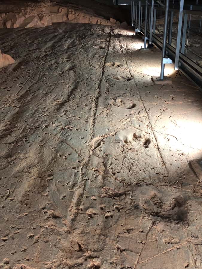 Winton: Dinosaur Stampede 3/4 Day Tour - Merton Gorge and the cattle-station detour