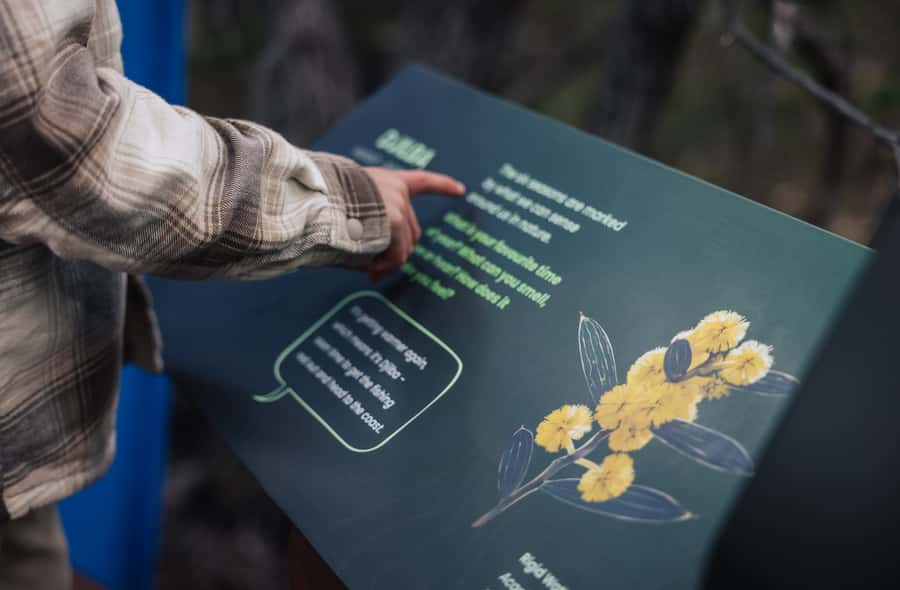 Yallingup: Ngilgi Cave Ancient Lands Experience - Start above ground in Yallingup bushland