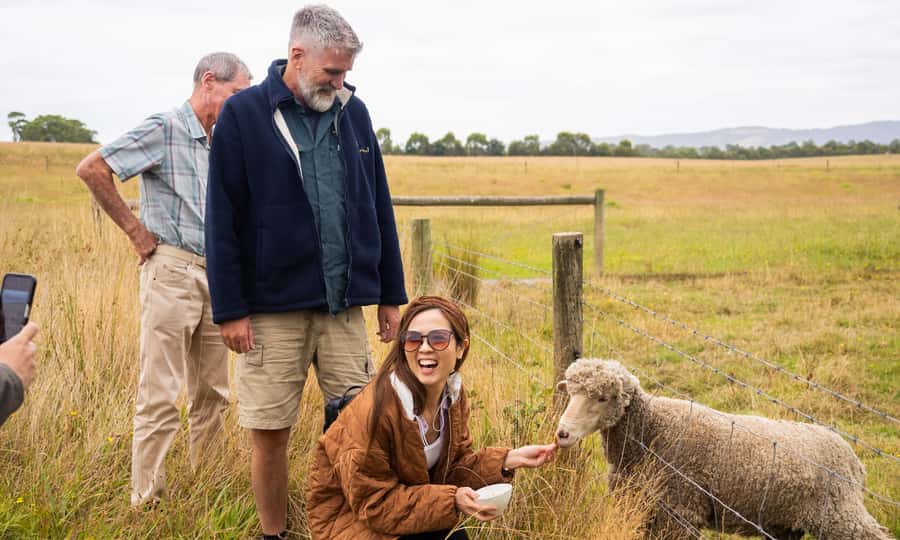 Yarra Valley Full Day Grazing Tour: Gin, Wine, Pizza, Cheese - One hour in Healesville