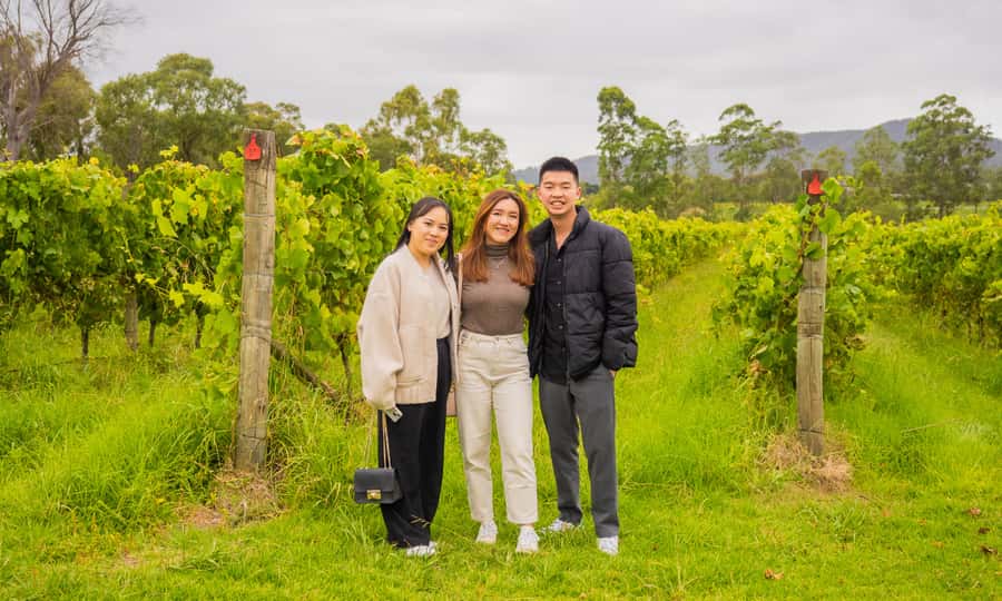 Yarra Valley Full Day Grazing Tour: Gin, Wine, Pizza, Cheese - What $133 really buys you