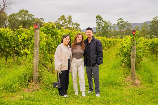 Yarra Valley Grazing Tour Wine, Cheese, Gin, Pizza from Melbourne - Chocolate at the Yarra Valley Chocolaterie