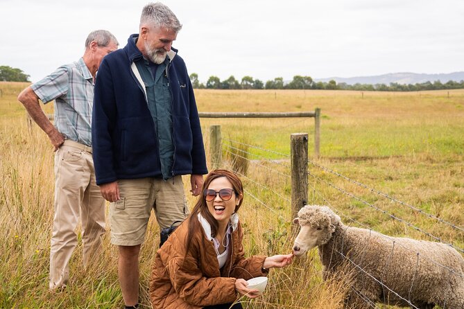 Yarra Valley Grazing Tour Wine, Cheese, Gin, Pizza from Melbourne - Price, transport and what the $135.56 includes