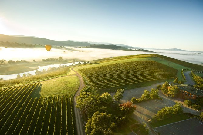 Yarra Valley Wine Day Tour - Why this Yarra Valley tour is more than a string of tastings