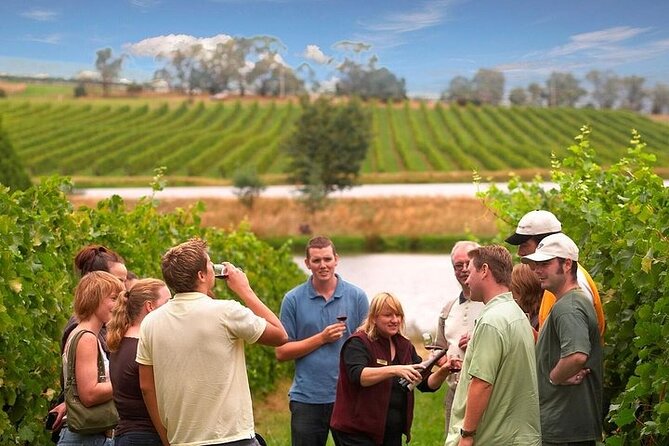 Yarra Valley Wine & Winery Tour from Melbourne - All Inclusive! - Key points at a glance