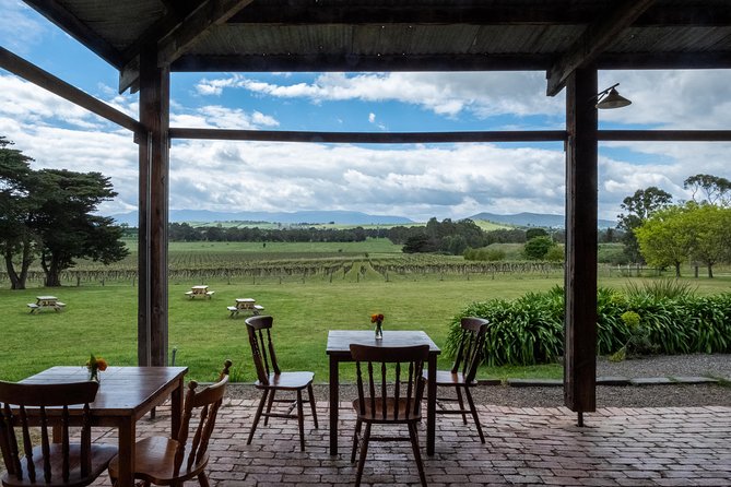 Yarra Valley Wine & Winery Tour from Melbourne - All Inclusive! - Soumah finishes with cool-climate European varieties