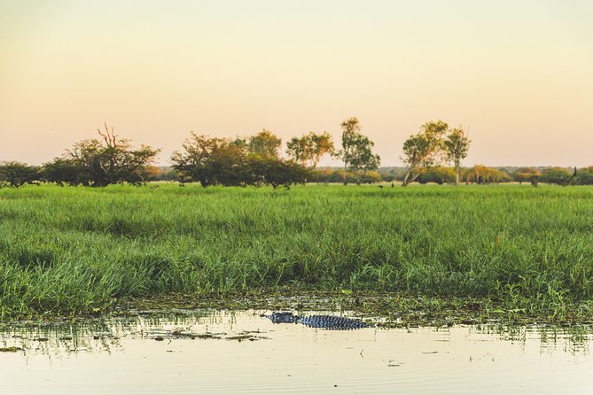 Yellow Water Cruise - Kakadu - What the price includes, and where the value lies