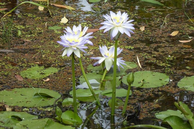 Yellow Water Cruise - Kakadu - Who will enjoy this cruise most