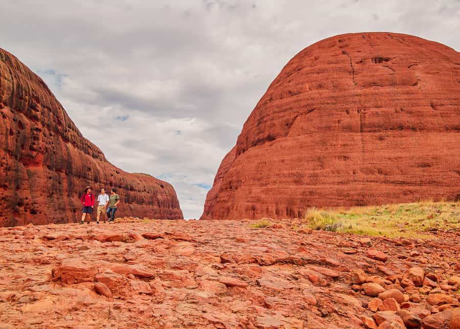 Yulara: Uluru Sunrise and Kata Tjuta Day Trip by Bus - What the AUD 140 price really covers