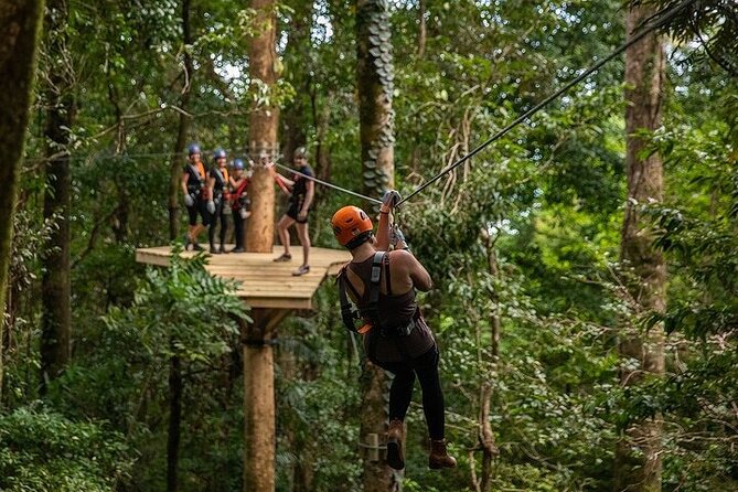 Ziplining Cape Tribulation with Treetops Adventures - Rainforest views in wet weather