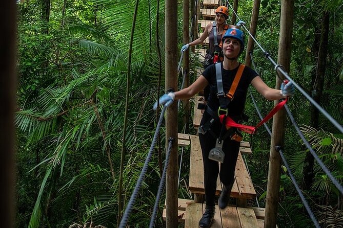 Ziplining Cape Tribulation with Treetops Adventures - Who will enjoy this most?