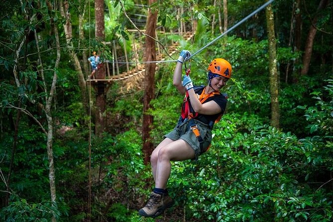 Ziplining Cape Tribulation with Treetops Adventures - Nine ziplines, bridges, and a 15-metre view